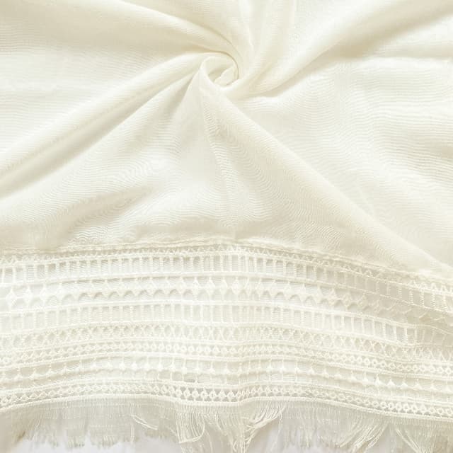 Daisy - Creamy